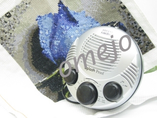 Omejo Shower Spy Radio Hidden Camera 1280X960 Motion Detection and Remote Control 16GB
